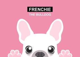 A little Frenchie puppy is looking out of the window vector