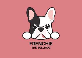 A cute little Frenchie is stuck to the edge of the table and waiting for some food vector