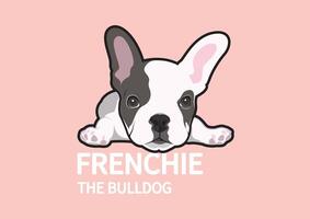 A cute lazy French Bulldog is lying down on the floor vector