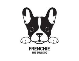 Adorable French Bulldog waiting for his snacks vector