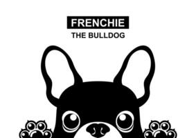 A little Frenchie puppy is looking out of the window in black and white style vector