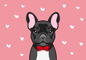 negruzco francés buldog en un rojo arco traje, él es Listo a reunirse su San Valentín fecha Pareja vector