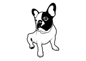 Lonely Cute French Bulldog vector