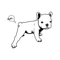 Cute little Frenchie is doing yoga exercises and making a fart vector