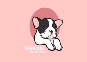 A cute French Bulldog puppy poses at the small open tunnel in pink background vector