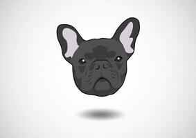 Cute Dark Grey French Bulldog Portrait vector