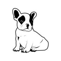 A cute little Frenchie is sitting on the ground vector