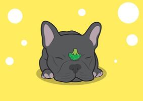 Sleeping French Bulldog and His Broccoli Vector