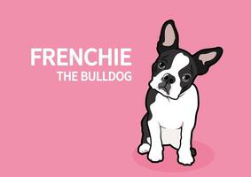 Question face Frenchie The Bulldog in pink background vector