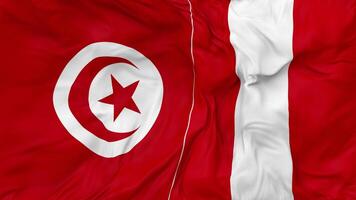 tunisia vs Perù bandiere insieme senza soluzione di continuità looping sfondo, loop urto struttura stoffa agitando lento movimento, 3d interpretazione video