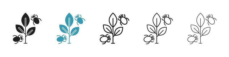 Pest plant icon vector