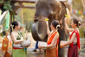 grupo de tailandés mujer mercancía tailandés tradicional vestir jugar a espolvorear agua en el tailandés nuevo años día o Songkran festival en un divertido camino con elefante en templo en borroso antecedentes. foto