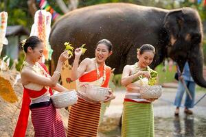 de cerca hermosa tailandés joven dama mercancía tailandés tradicional vestir utilizar flores a espolvorear agua en cada otro en el tailandés nuevo años día en un divertido camino en borroso elefante y pila de arena antecedentes. foto