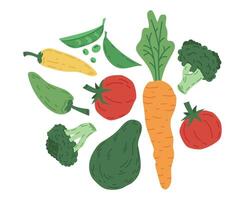 mano dibujado garabatear vegetales. sano estilo de vida garabatear verduras, zanahoria, palta, tomate y brócoli. delicioso vegetariano orgánico comida vector conjunto
