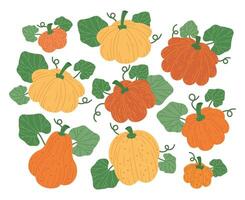 Hand drawn Halloween holiday pumpkin autumn vegetables. Fall pumpkins, Halloween harvest vegetables vector illustration set. Halloween pumpkins symbols