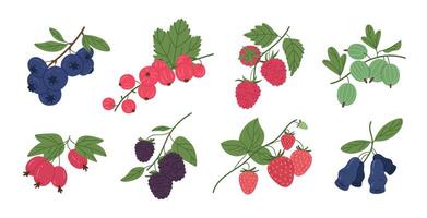 Berries set. Juicy forest berry, raspberry, strawberry, blueberry, gooseberry and red currant, wild edible fresh berries flat vector illustration set. Ripe delicious berries collection