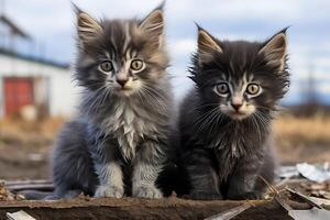 AI generated Two adorable kittens with fluffy fur sit close to each other with interesting expressions on their faces. photo