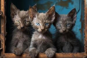 AI generated Three adorable kittens with fluffy fur, sitting closely together in a row with curious expressions on their faces. photo