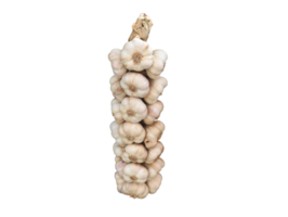 flechten von Knoblauch png