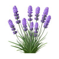 ai generado belleza púrpura lavanda png