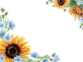 Horizontal frame with sunflowers, meadow plants. Chicory branches. Blue, orange yellow flower bouquet. Floral composition with copy space for text. Watercolor illustration png