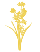 amarillo narciso floral modelo ilustración png
