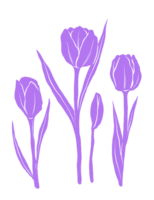 tulipano floreale illustrazione png