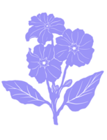 jordviva blommig mönster illustration png