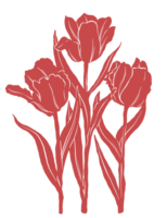 rood papegaai tulp bloemen illustratie png