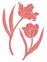 rosso pappagallo tulipano floreale illustrazione png