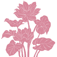 Lotus flower pattern illustration png
