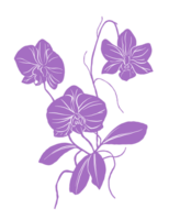 orkide blomma mönster illustration png