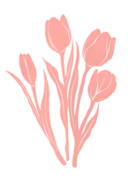 rosa tulpan blommig illustration png