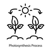 Trendy Photosynthesis Process vector