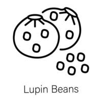 Trendy Lupin Beans vector