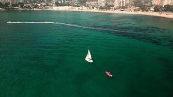 Alicante, Alicante Province, 03.17.2024, active types of rest at the Sea of Spain video