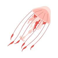 Cartoon Pink jellyfish flat style. Medusa vector illustration. Modern flat illustration Jellyfish isolated on white background. Vector illustration