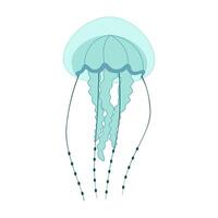 Cartoon jellyfish flat style. Medusa vector illustration. Modern flat illustration Jellyfish isolated on white background. Vector illustration