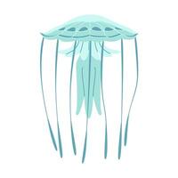 Cartoon jellyfish flat style. Medusa vector illustration. Modern flat illustration Jellyfish isolated on white background. Vector illustration