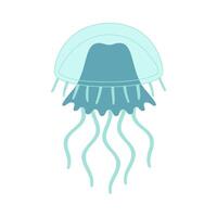 Cartoon jellyfish flat style. Medusa vector illustration. Modern flat illustration Jellyfish isolated on white background. Vector illustration