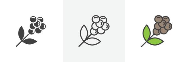 Coffee plant icon vector