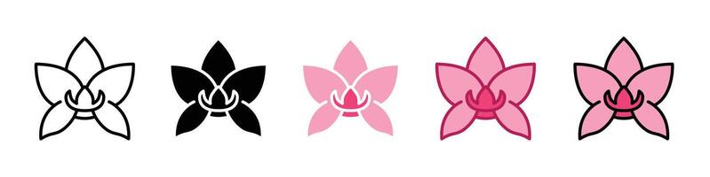 Moth orchid icon vector