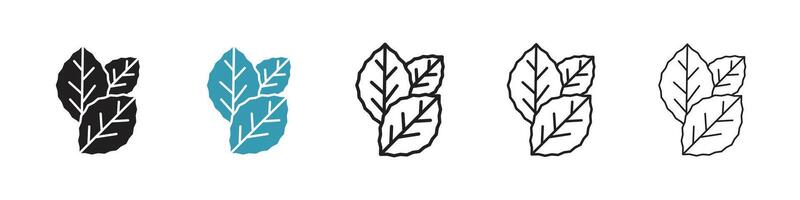 Tobacco leaves icon vector