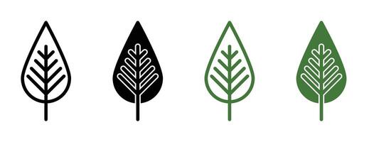 Tobacco leaves icon vector