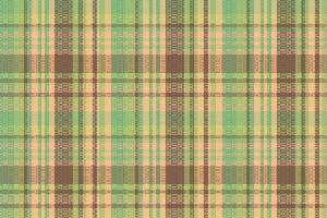 Tartan plaid pattern with texture and wedding color. vector