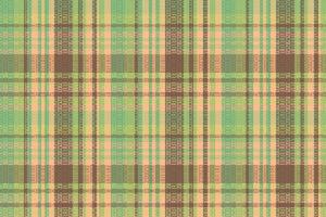 Tartan plaid pattern with texture and wedding color. vector