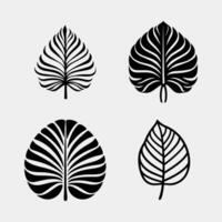 palm leaf icon set vector