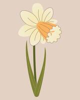 Vector Daffodil Spring Yellow Flower Mother's Day Flat style