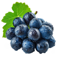 AI generated Dark blue grape with leaves isolated on transparent background With clipping path. png