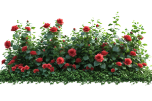 AI generated Cutout flowerbed. Plants and red flowers. Red roses. isolated on transparent background With clipping path.3d render png